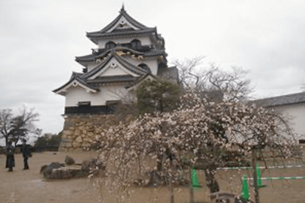 日本香りスポット