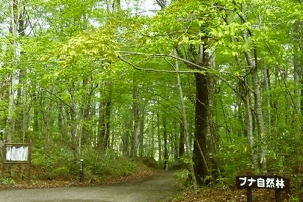 日本香りスポット