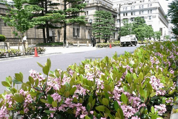 日本香りスポット